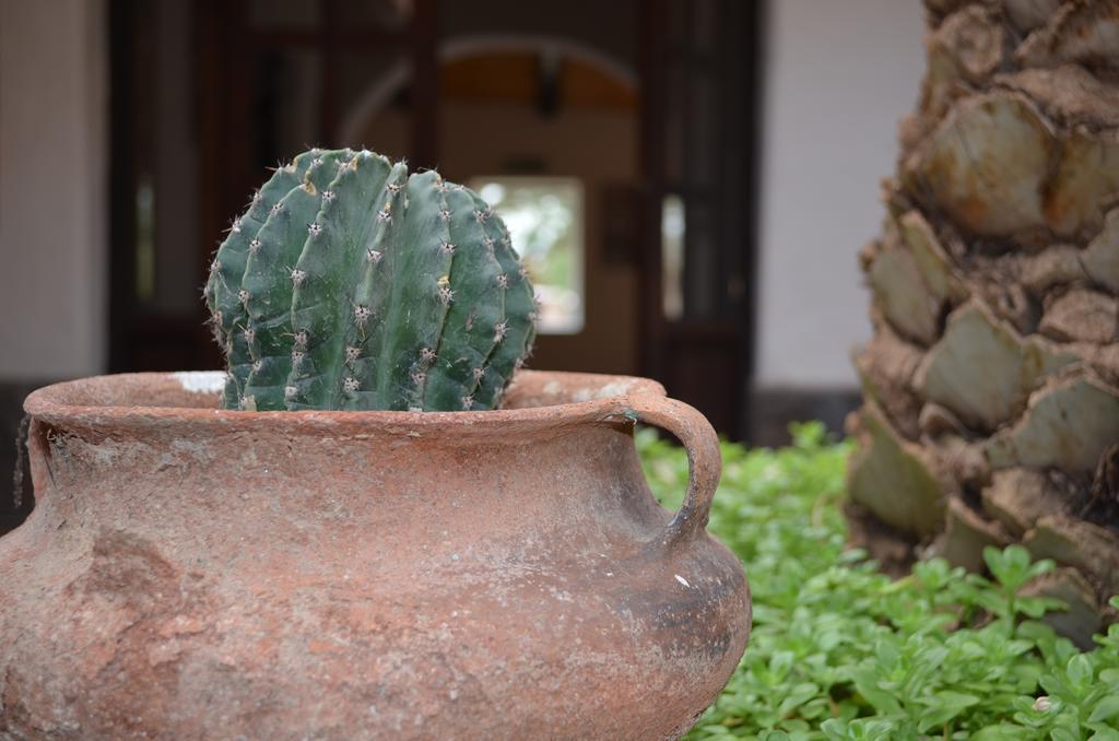El Carmen Casa de Campo *